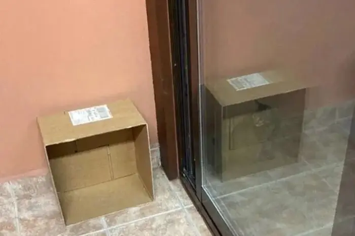 Schrödinger’s mirror (cat)